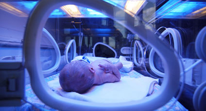picu care little fern